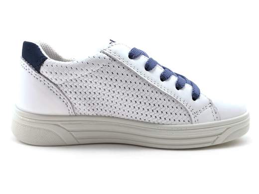 SNEAKER RAFFINATO PRIMIGI 3383400