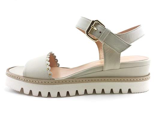 SERGIO CIMADAMORE 104