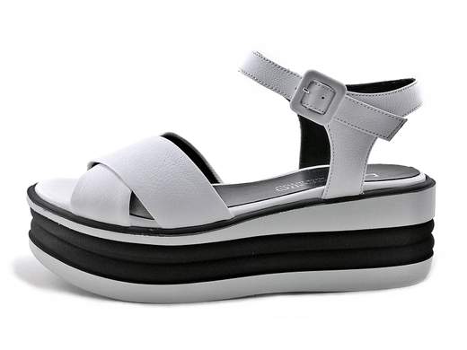 LAZZARIFELICI 2666 Fox