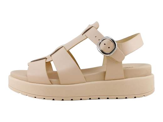 Sandalo donna NeroGiardini in pelle con suola platform da 3 cm, chiusura con fibbia e fussbett imbottito per un comfort urbano grintoso.