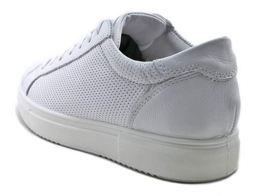 Sneakers Uomo IGI&CO 3624000