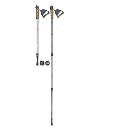 BRUGI ZF1D