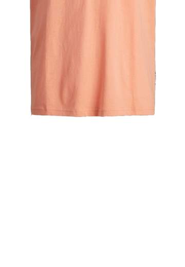 JACK&JONES 12255517