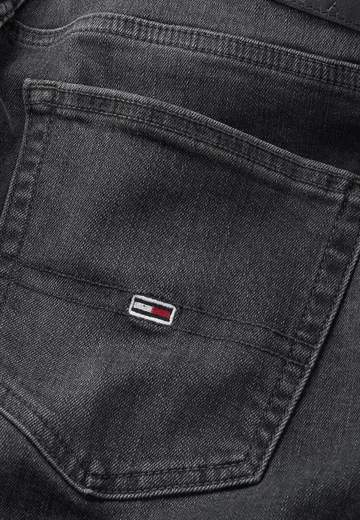 TOMMY JEANS DM0DM19301
