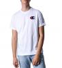 champion 214195