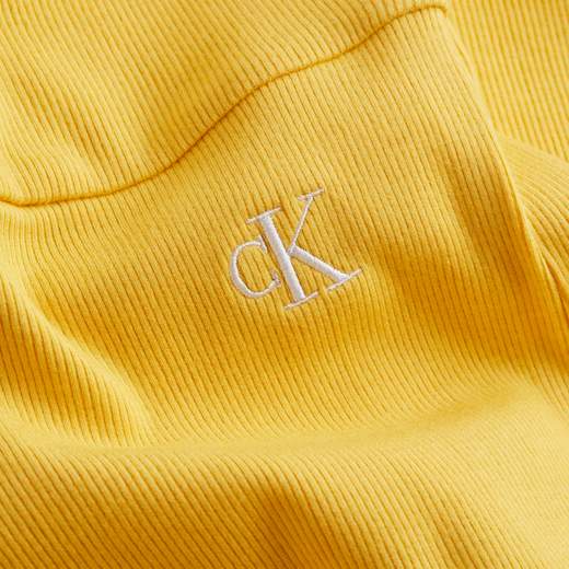 CALVIN KLEIN JEANS J20J218402