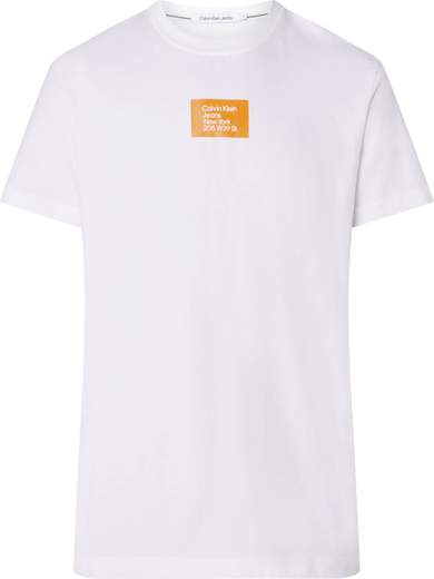 CALVIN KLEIN JEANS J30J322879