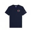 champion 214195