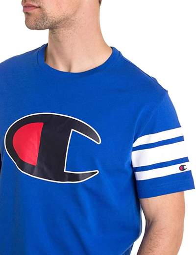 champion 213383