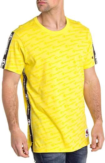 champion 212807