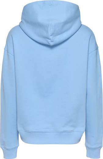 TOMMY JEANS DW0DW17326