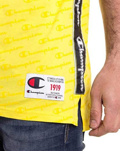 champion 212807