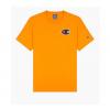 champion 214195