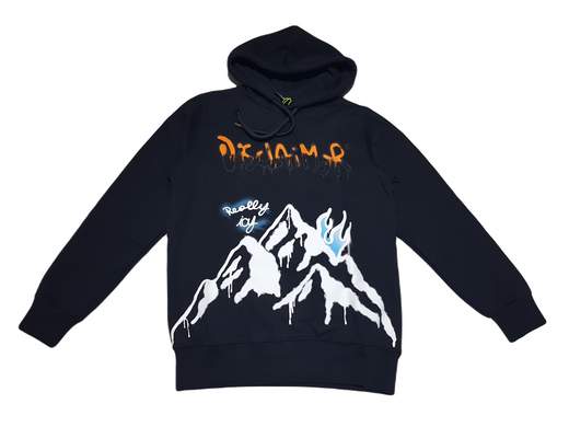 DISCLAIMER 22IDS53137