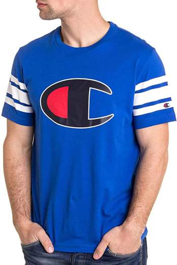 champion 213383