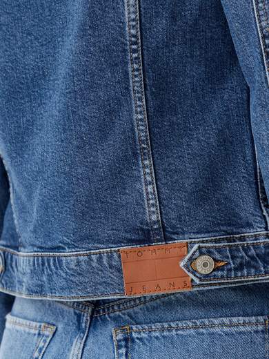 TOMMY JEANS DW0DW20120