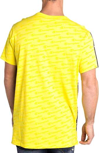 champion 212807
