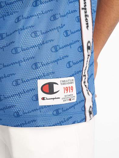 champion 212835