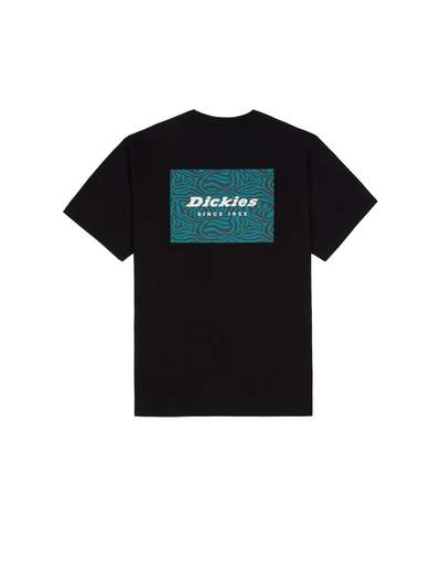Dickies DK0A4Y8Q