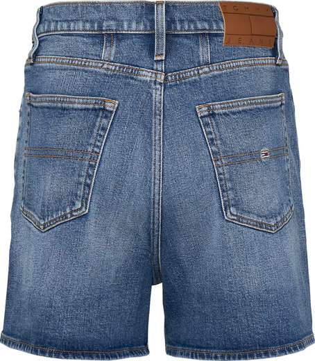 TOMMY HILFIGER DW0DW20092