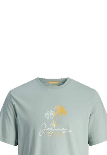 JACK&JONES 12255238