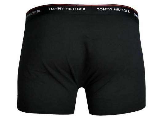 TOMMY HILFIGER 1U87903842