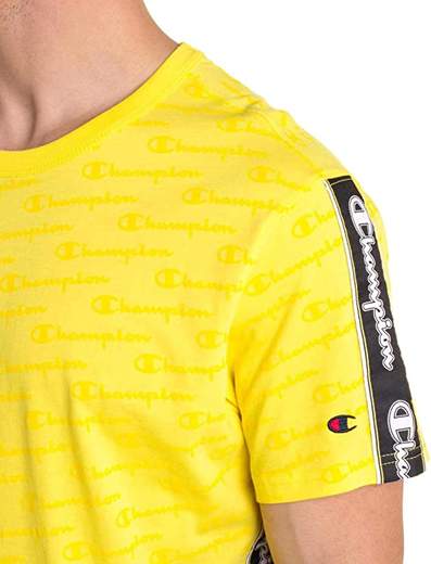champion 212807
