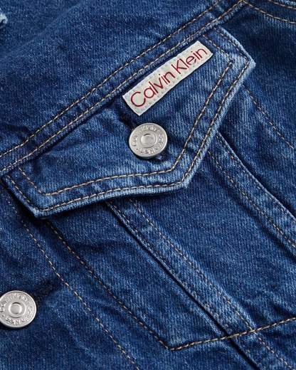CALVIN KLEIN JEANS J20J225183