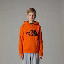 THE NORTH FACE NF0A89HH10P
