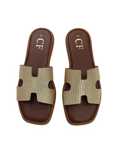 CF H