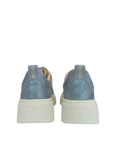 GOLD & GOLD GB1046