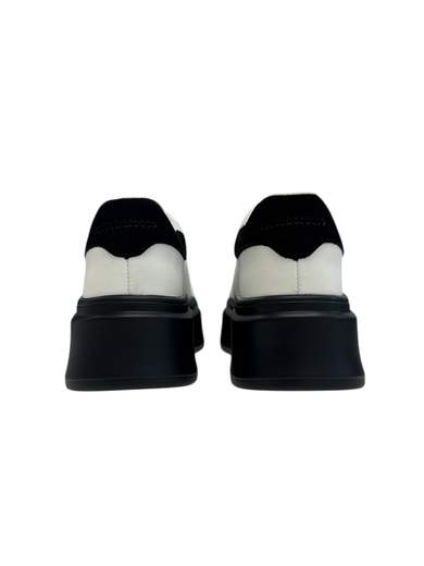 ROCCOBAROCCO RBALD-3A