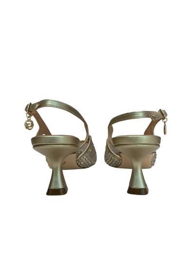 GOLD & GOLD GD397