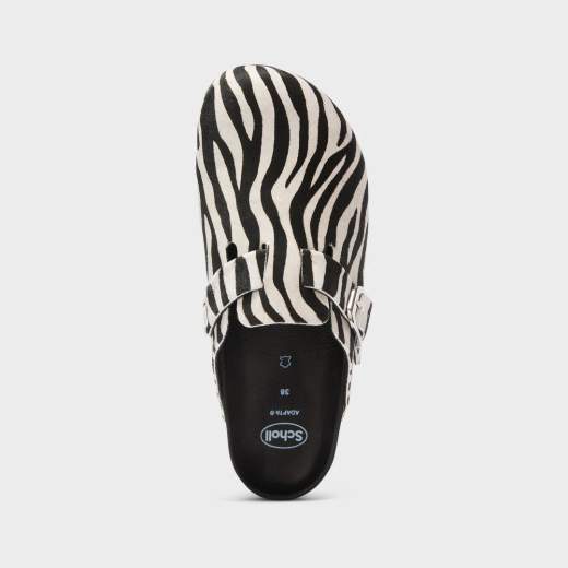SCHOLL 012031851
