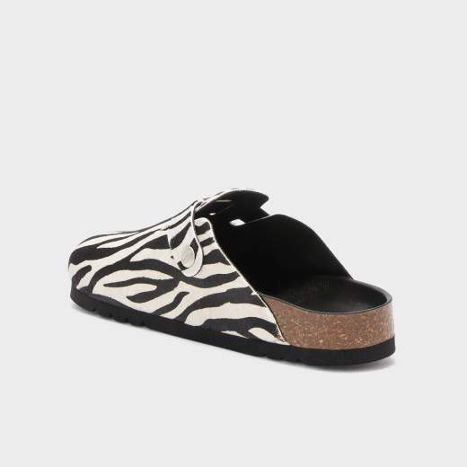 SCHOLL 012031851