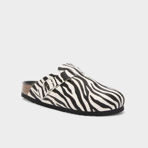 SCHOLL 012031851