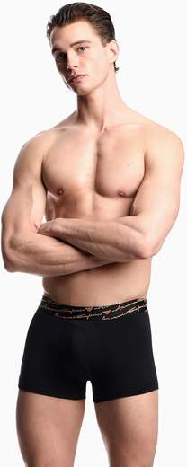 EMPORIO ARMANI EM000253-AF15007