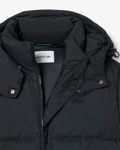 LACOSTE BF8434