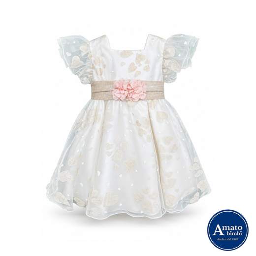 Delfi 3117