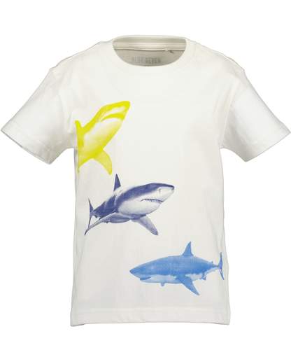 BLUE SEVEN 802415-00
