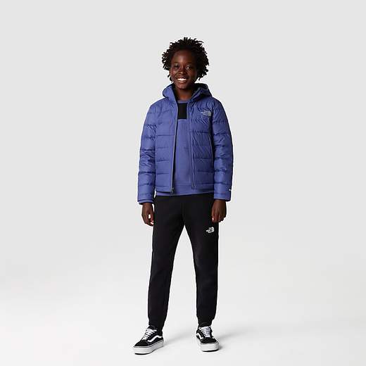 The North Face NF231
