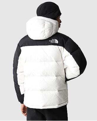 The North Face NF173
