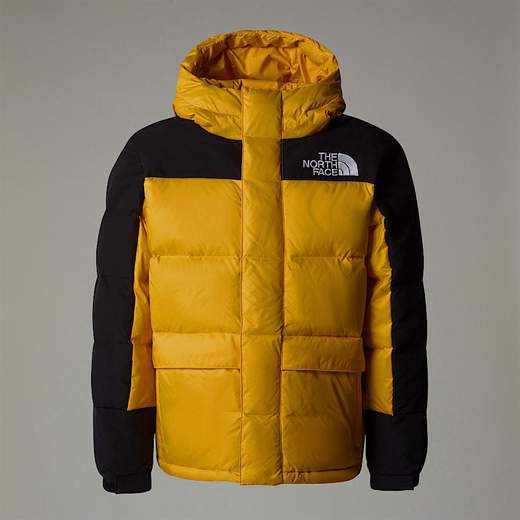 The North Face NF290