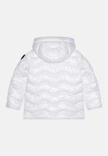 Blauer BL131