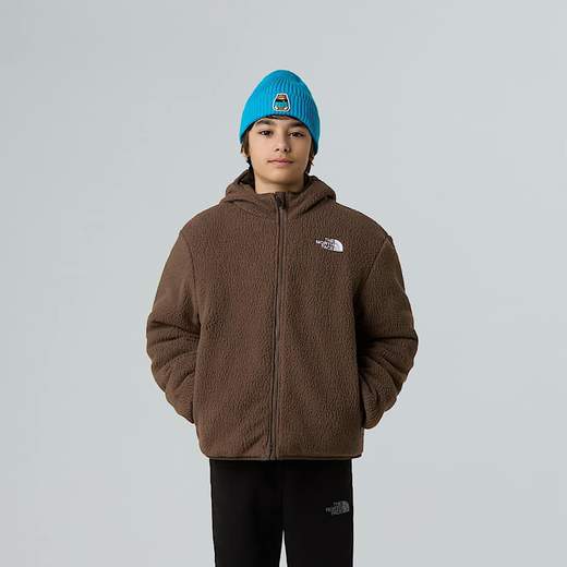 The North Face NF379