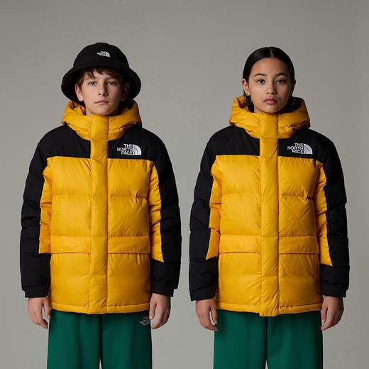 The North Face NF290