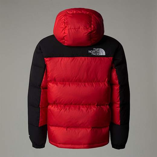The North Face NF290
