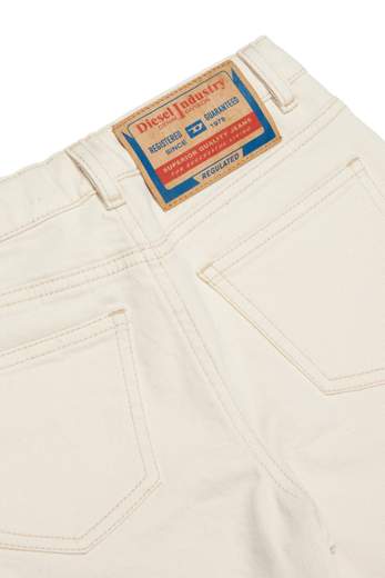 Diesel DI498