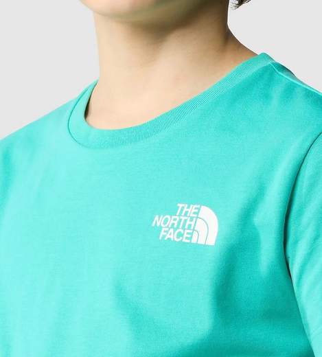 The North Face NF267