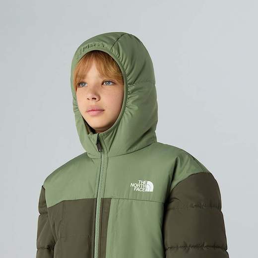 The North Face NF379